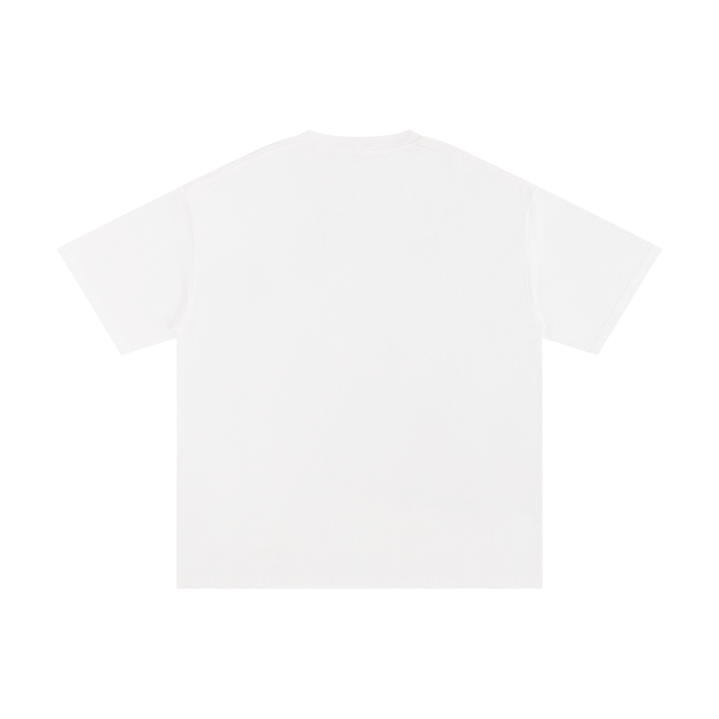 SKULLBALL TDDUP PLAIN WHITE T